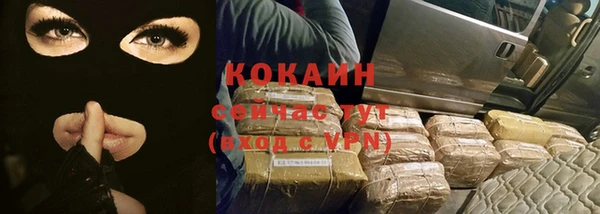 spice Алзамай