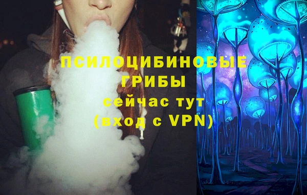 прущие грибы Алексеевка