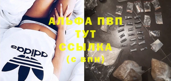 spice Алзамай